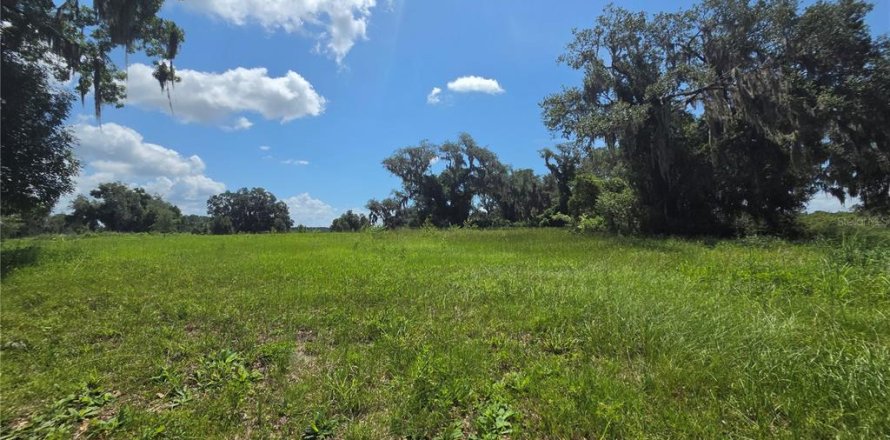 Terrain à Howey-in-the-Hills, Floride № 2239696