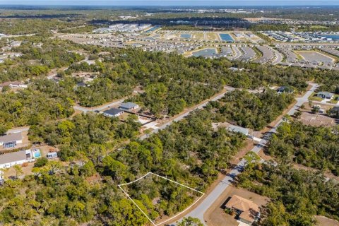 Land in Port Charlotte, Florida № 2159050 - photo 7