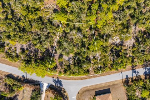 Land in Port Charlotte, Florida № 2159050 - photo 8