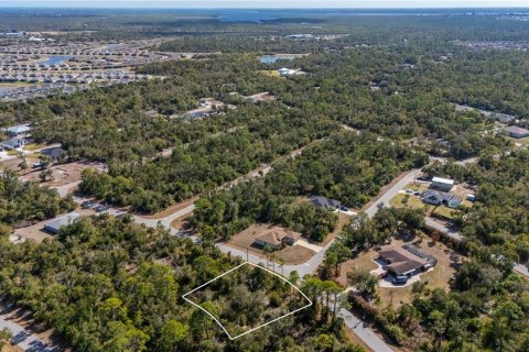 Land in Port Charlotte, Florida № 2159050 - photo 4