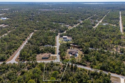 Land in Port Charlotte, Florida № 2159050 - photo 3