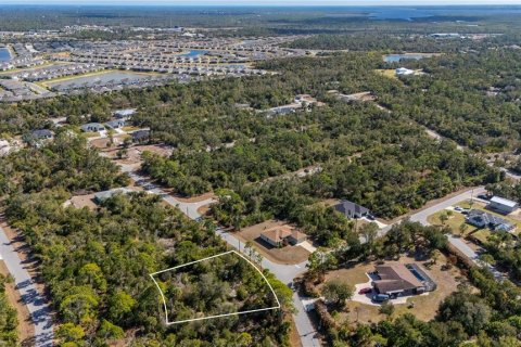 Land in Port Charlotte, Florida № 2159050 - photo 5