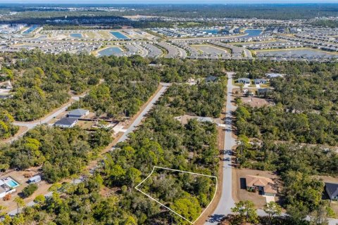 Land in Port Charlotte, Florida № 2159050 - photo 6