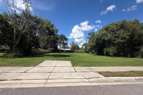 Land in Orlando, Florida № 2370676