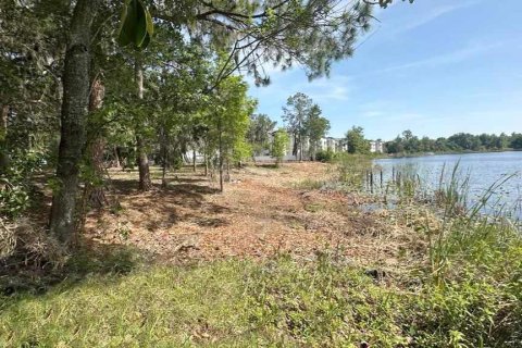 Commercial property in Davenport, Florida № 1561371 - photo 3