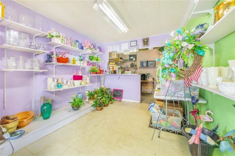 Купить коммерческую недвижимость в Хейнс-Сити, Флорида 78.04м2, № 2202028 - фото 7