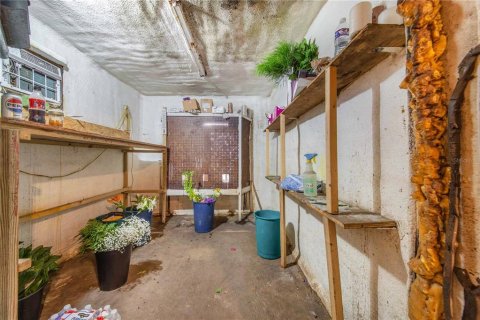 Купить коммерческую недвижимость в Хейнс-Сити, Флорида 78.04м2, № 2202028 - фото 12