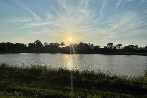 Land in Rotonda, Florida № 2160307 - photo 10