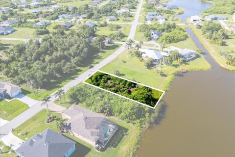 Land in Rotonda, Florida № 2160307 - photo 6