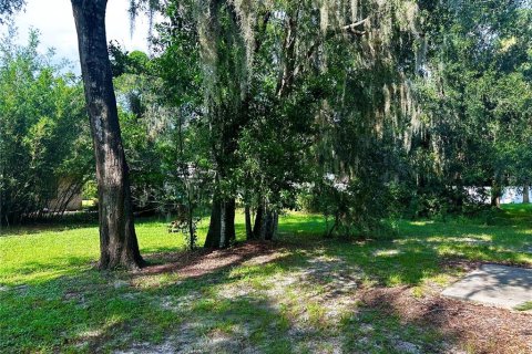 Casa en alquiler en Mount Dora, Florida, 3 dormitorios, 124.67 m2 № 1879579 - foto 24