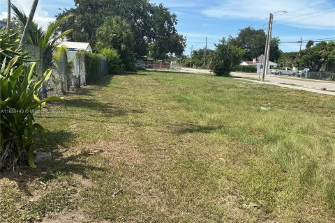 Land in Miami, Florida № 1961816 - photo 1