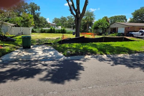 Land in Tampa, Florida № 1858182 - photo 1
