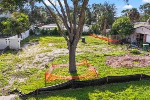 Land in Tampa, Florida № 1858182 - photo 4