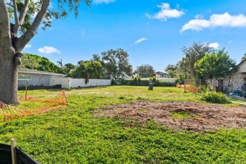 Land in Tampa, Florida № 1858182 - photo 3