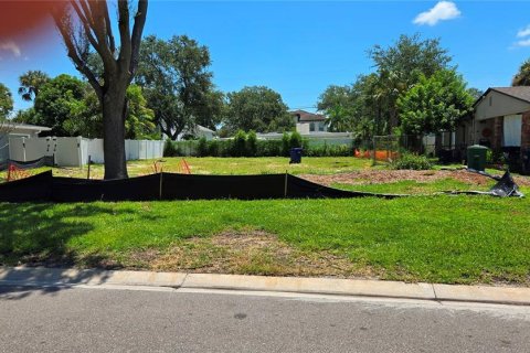 Land in Tampa, Florida № 1858182 - photo 2