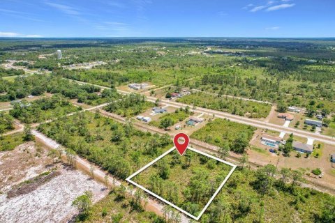 Land in Indian lake estates, Florida № 2166169