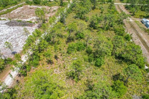 Land in Indian lake estates, Florida № 2166169 - photo 10