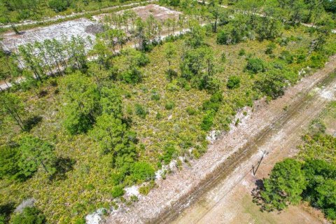 Land in Indian lake estates, Florida № 2166169 - photo 9