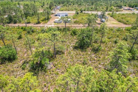 Land in Indian lake estates, Florida № 2166169 - photo 11