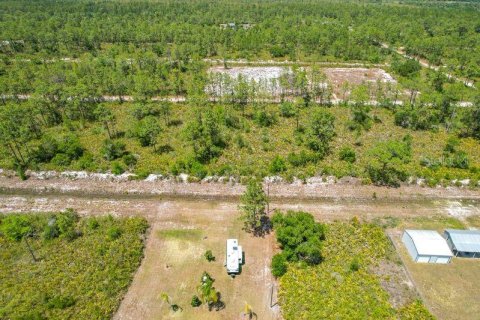 Land in Indian lake estates, Florida № 2166169 - photo 8