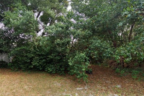 Land in Longwood, Florida № 1851610 - photo 4