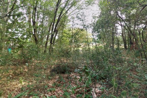 Land in Longwood, Florida № 1851610 - photo 5