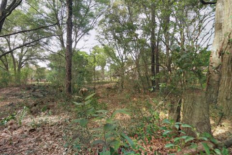 Land in Longwood, Florida № 1851610 - photo 8