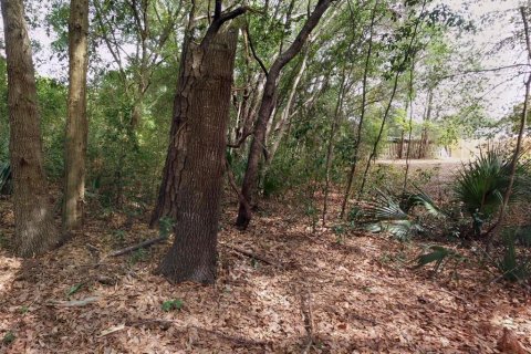 Land in Longwood, Florida № 1851610 - photo 6