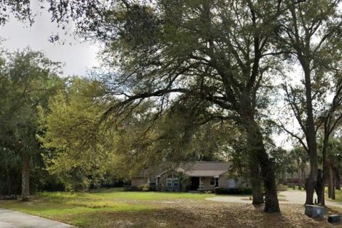 Land in Longwood, Florida № 1851610 - photo 3