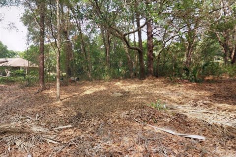 Land in Longwood, Florida № 1851610 - photo 7