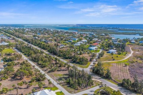 Land in Placida, Florida № 1733450 - photo 4