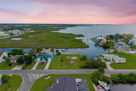 Terrain à vendre à Hernando Beach, Floride № 1917890 - photo 13