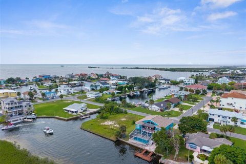 Terrain à vendre à Hernando Beach, Floride № 1917890 - photo 8