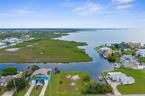 Terrain à vendre à Hernando Beach, Floride № 1917890 - photo 14