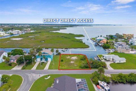 Terrain à vendre à Hernando Beach, Floride № 1917890 - photo 1