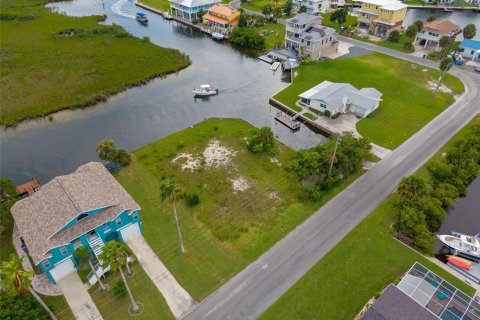 Terrain à vendre à Hernando Beach, Floride № 1917890 - photo 2