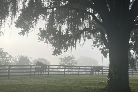 Casa en venta en Ocala, Florida, 4 dormitorios, 240.9 m2 № 1902086 - foto 2