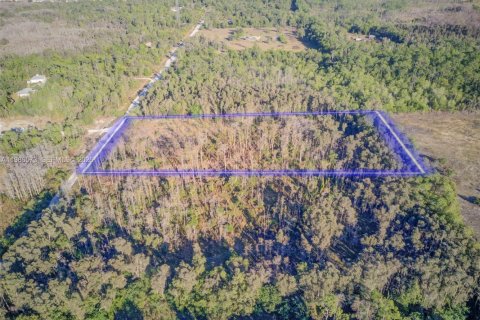 Commercial property in Fort Myers, Florida № 2048248 - photo 4