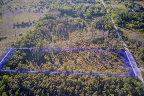 Commercial property in Fort Myers, Florida № 2048248 - photo 2