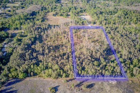 Commercial property in Fort Myers, Florida № 2048248 - photo 3