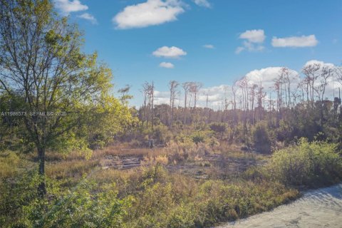 Commercial property in Fort Myers, Florida № 2048248 - photo 5