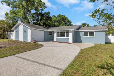 Villa ou maison à Tarpon Springs, Floride 3 chambres, 124.67 m2 № 2314487