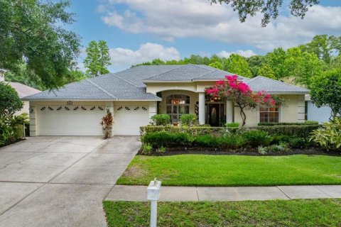 House in Palm Harbor, Florida 4 bedrooms, 242.94 sq.m. № 2279715