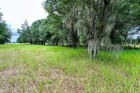 Terrain à vendre à Myakka City, Floride № 2197952 - photo 6