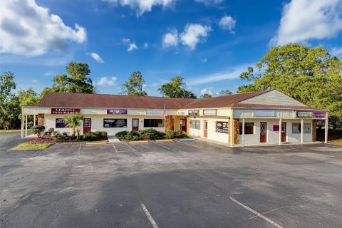 Commercial property in Spring Hill, Florida 483.09 sq.m. № 1658198 - photo 10