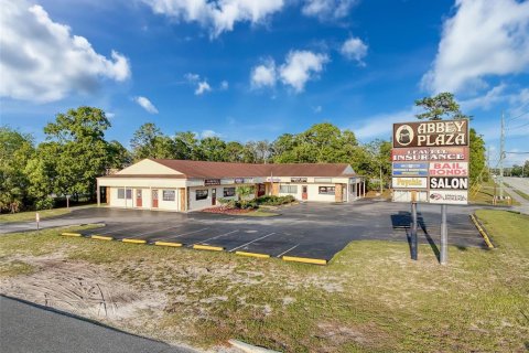 Commercial property in Spring Hill, Florida 483.09 sq.m. № 1658198 - photo 4