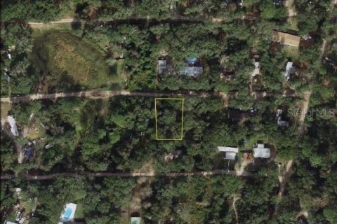 Terreno en venta en Umatilla, Florida № 2162138 - foto 3