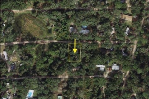 Terreno en Umatilla, Florida № 2162138