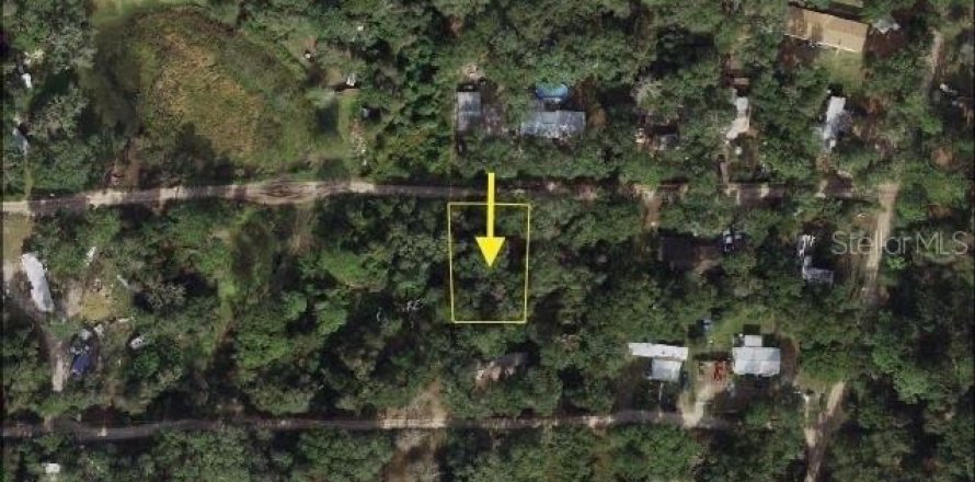 Terreno en Umatilla, Florida № 2162138