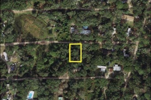 Terreno en venta en Umatilla, Florida № 2162138 - foto 2